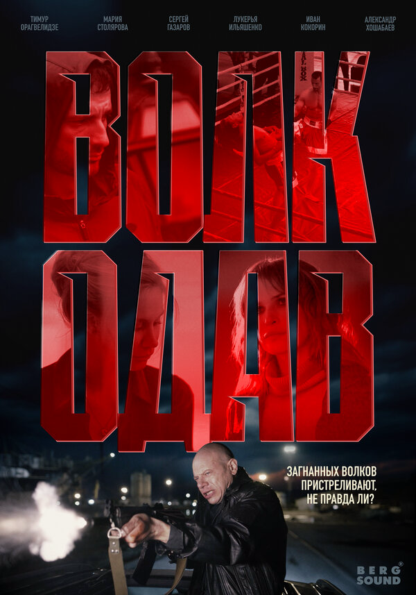 Волкодав - постер сериала